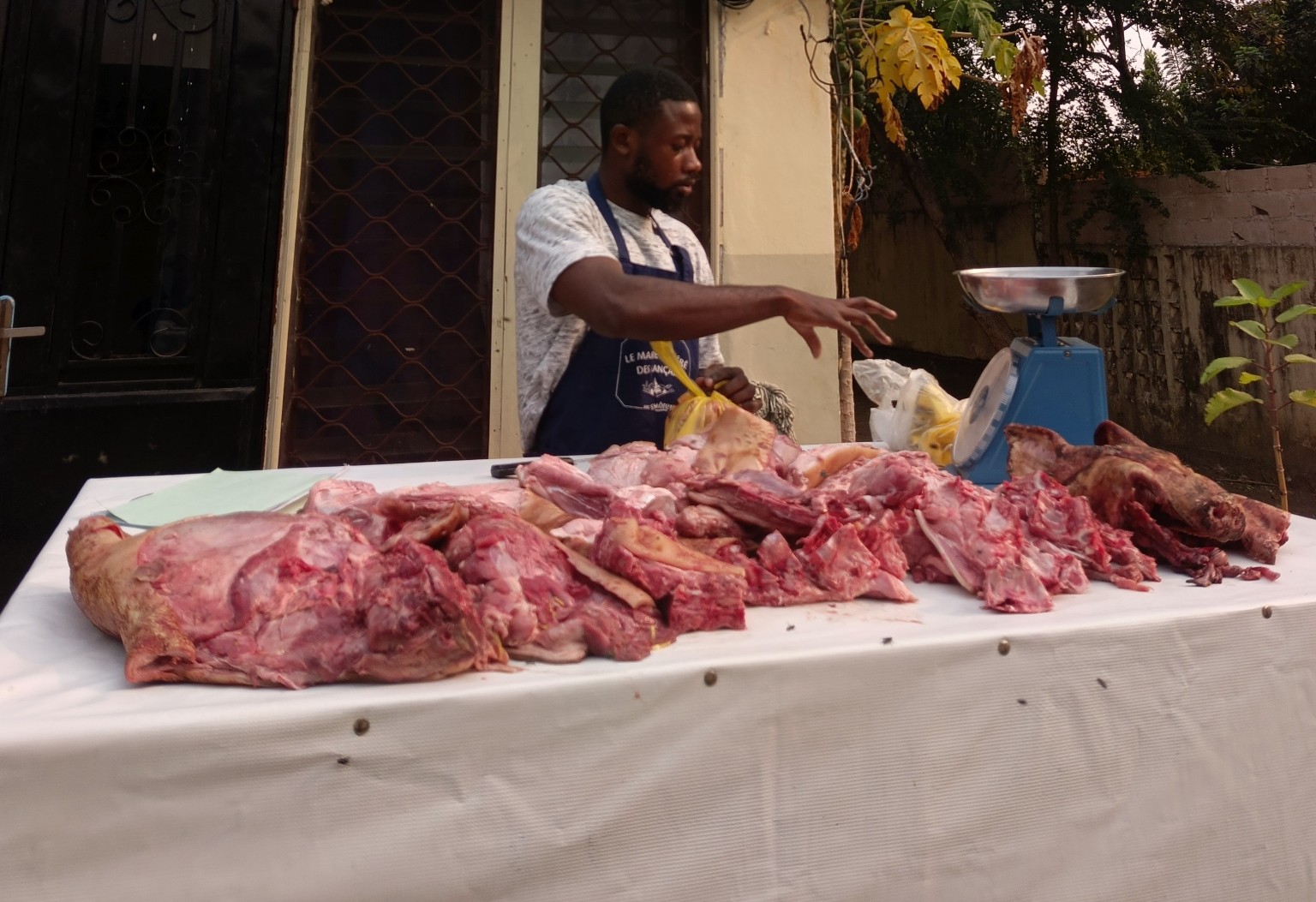 Viande de porc fraîche avec os