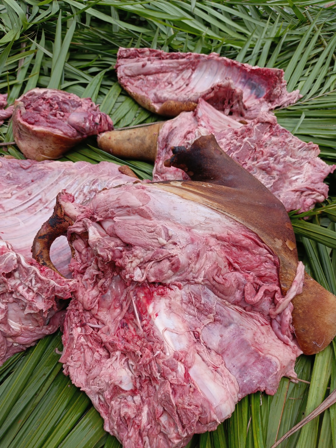Viande de porc de la Ferme Kim’s
